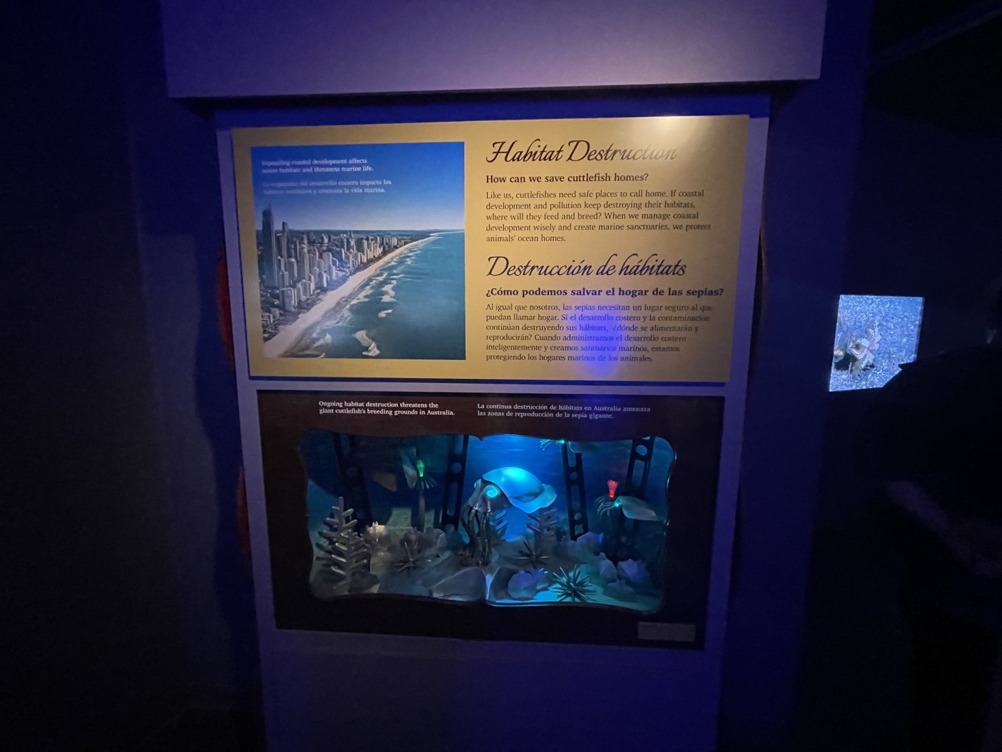 Habitat destruction (Nemo Gould)