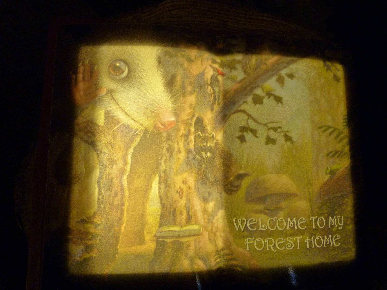 Habitat Hollow - The House