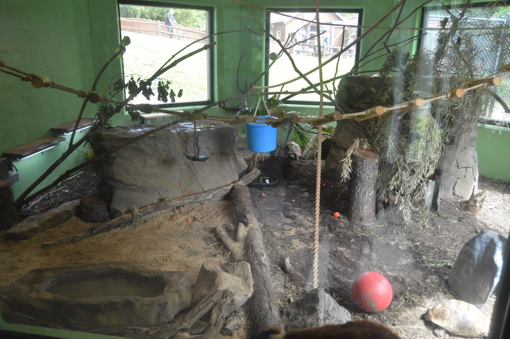 Habitat Madagascar - Indoor Exhibit