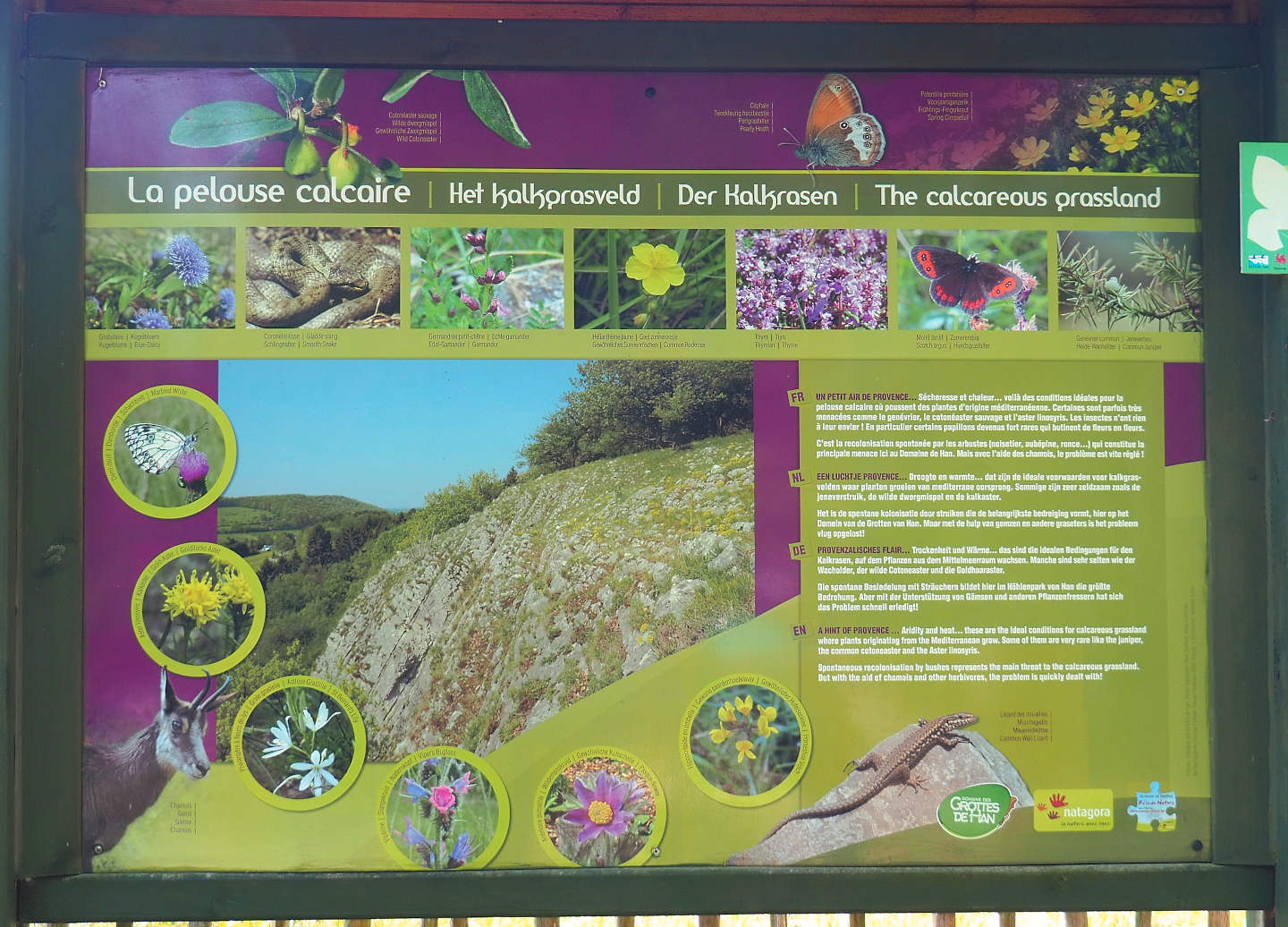 Habitats present on park grounds signage - Calcareous grasslands, 2021-08-15