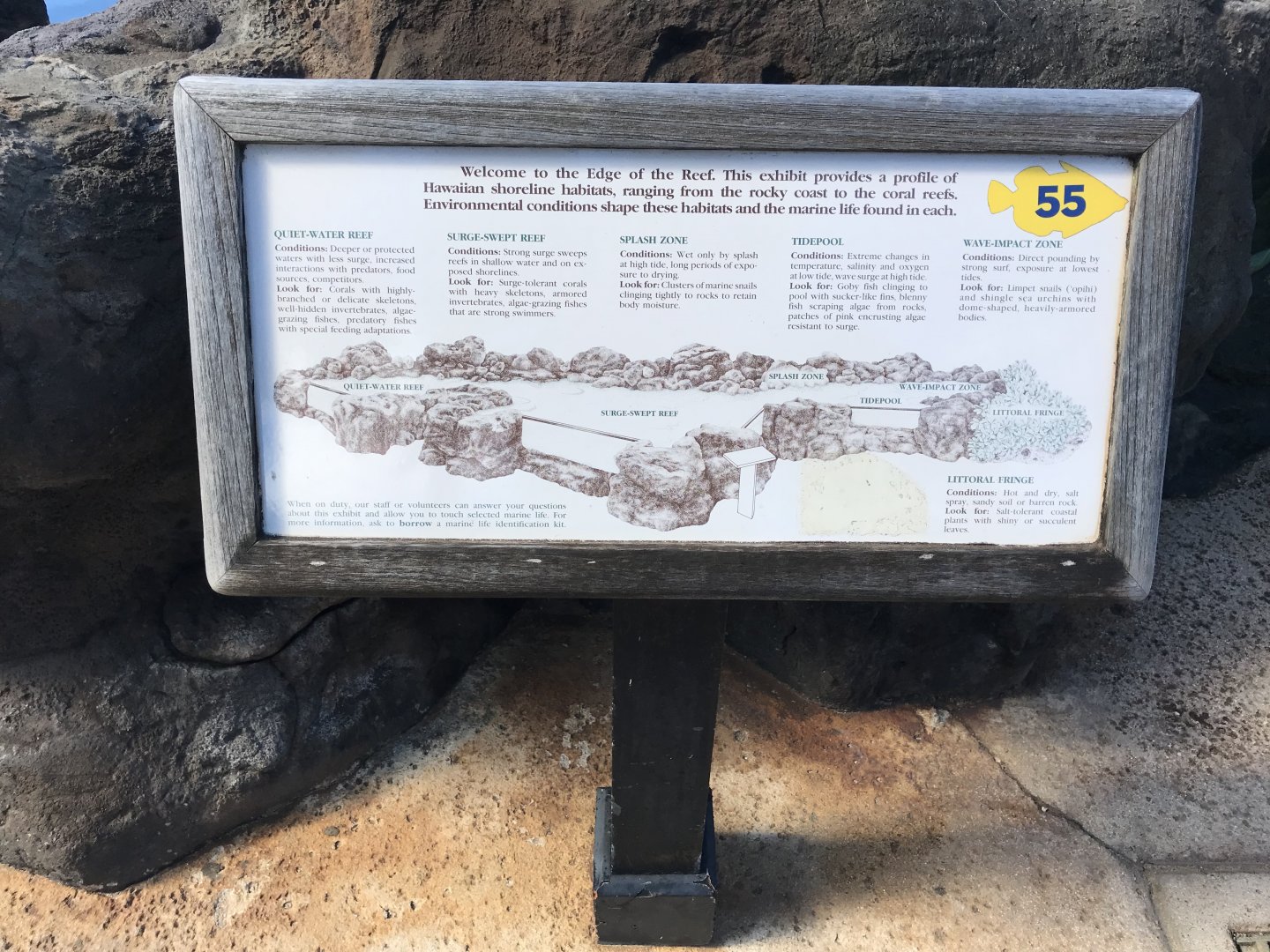 Habitats represented in Edge of the Reef