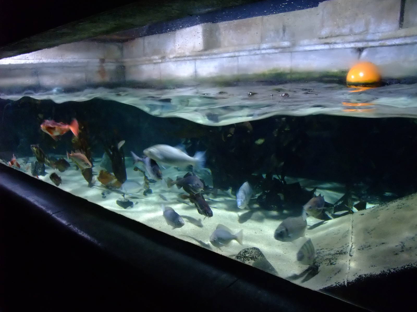 Habour Display at SLC London, 17/11/11