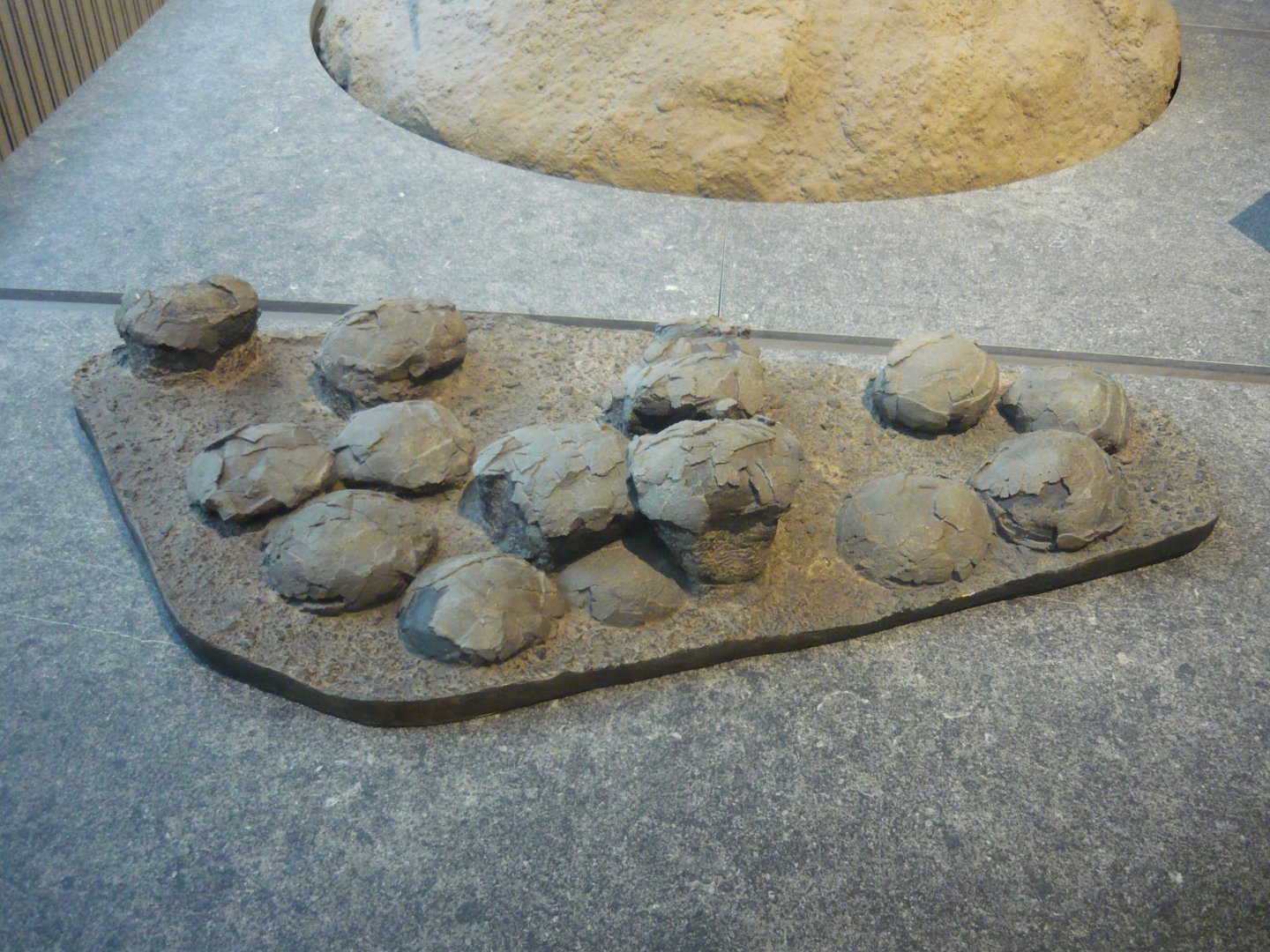 Hadrosaur eggs