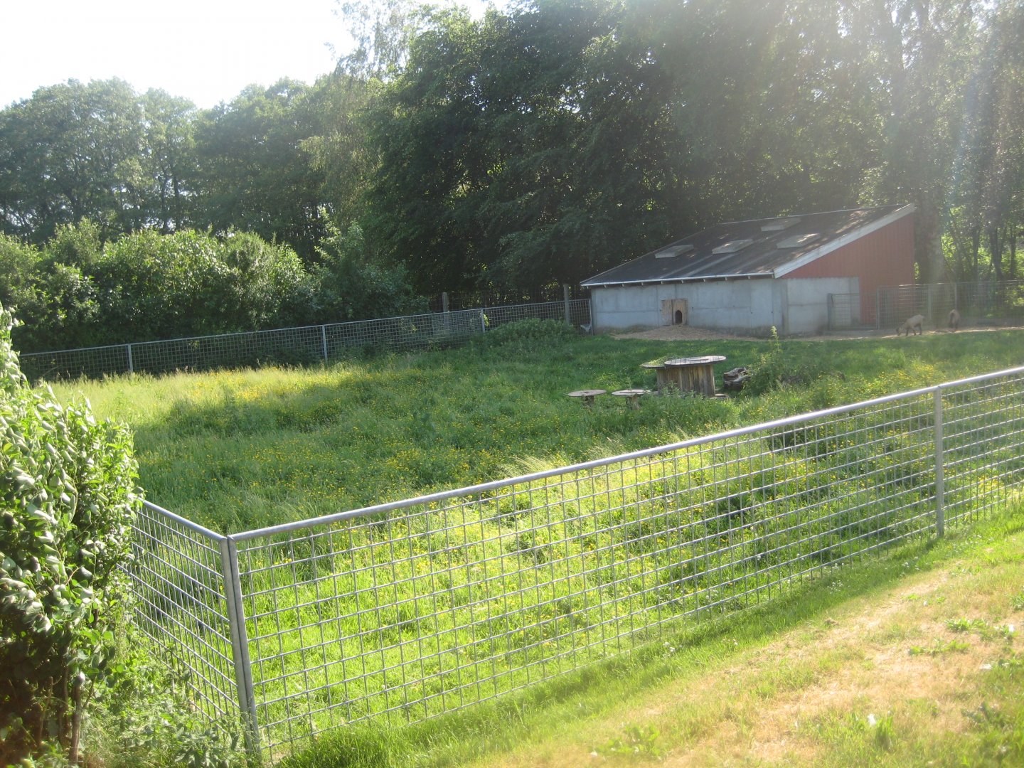 Hadsund Dyrehave - Goat pen