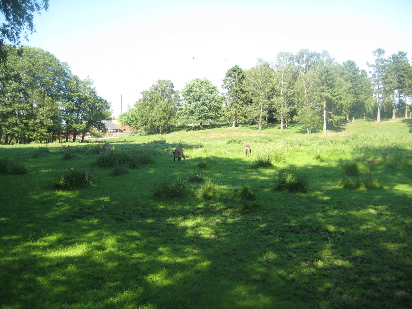 Hadsund Dyrehave - Main exhibit
