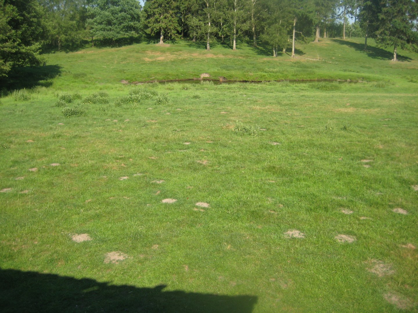 Hadsund Dyrehave - Main exhibit