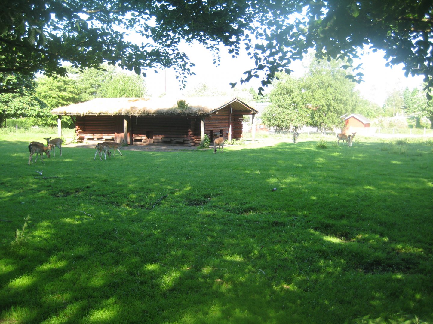 Hadsund Dyrehave - Main exhibit