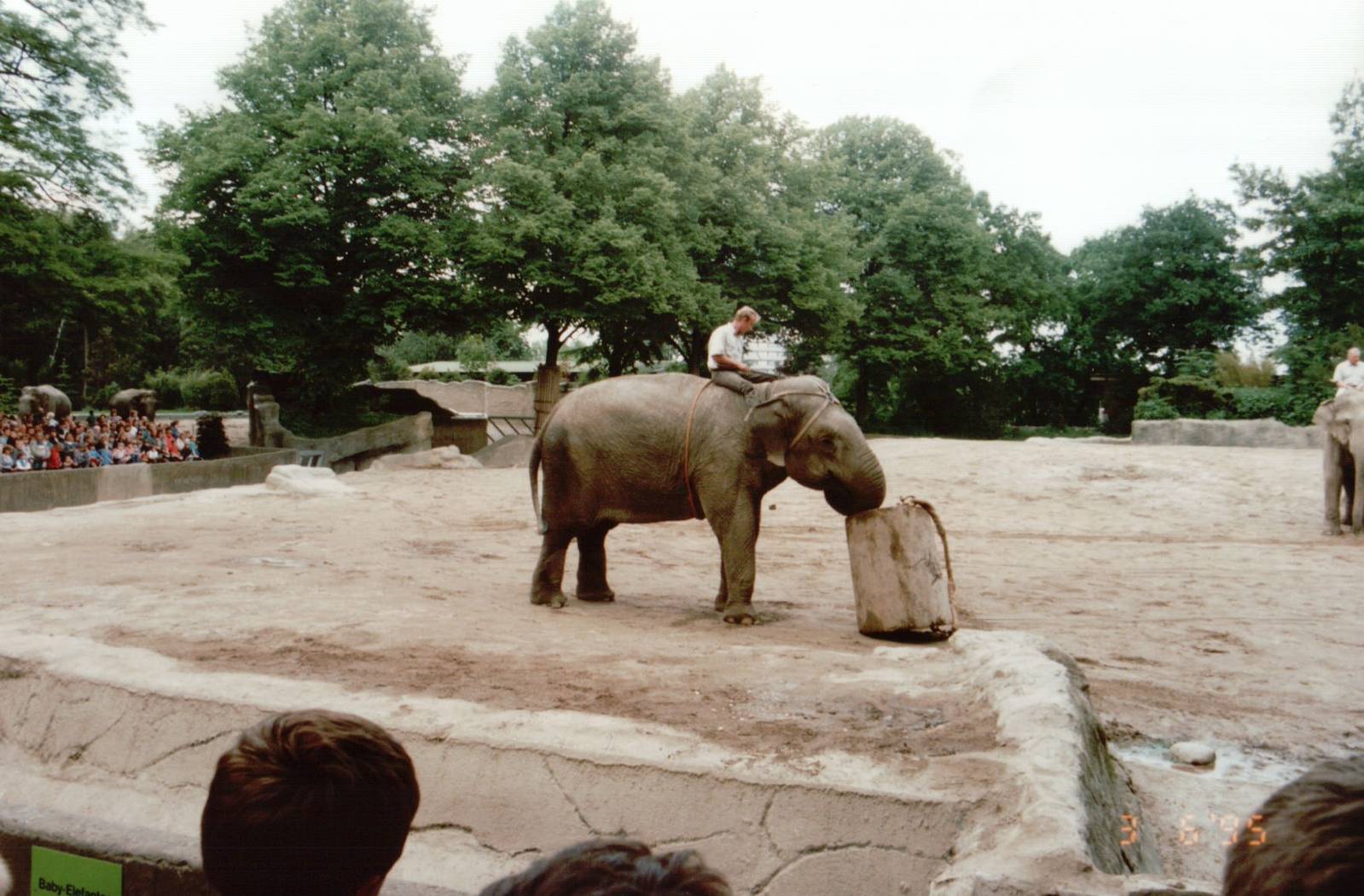 Hagenbeck 1995 - Asiatic Elephant keeper demonstration
