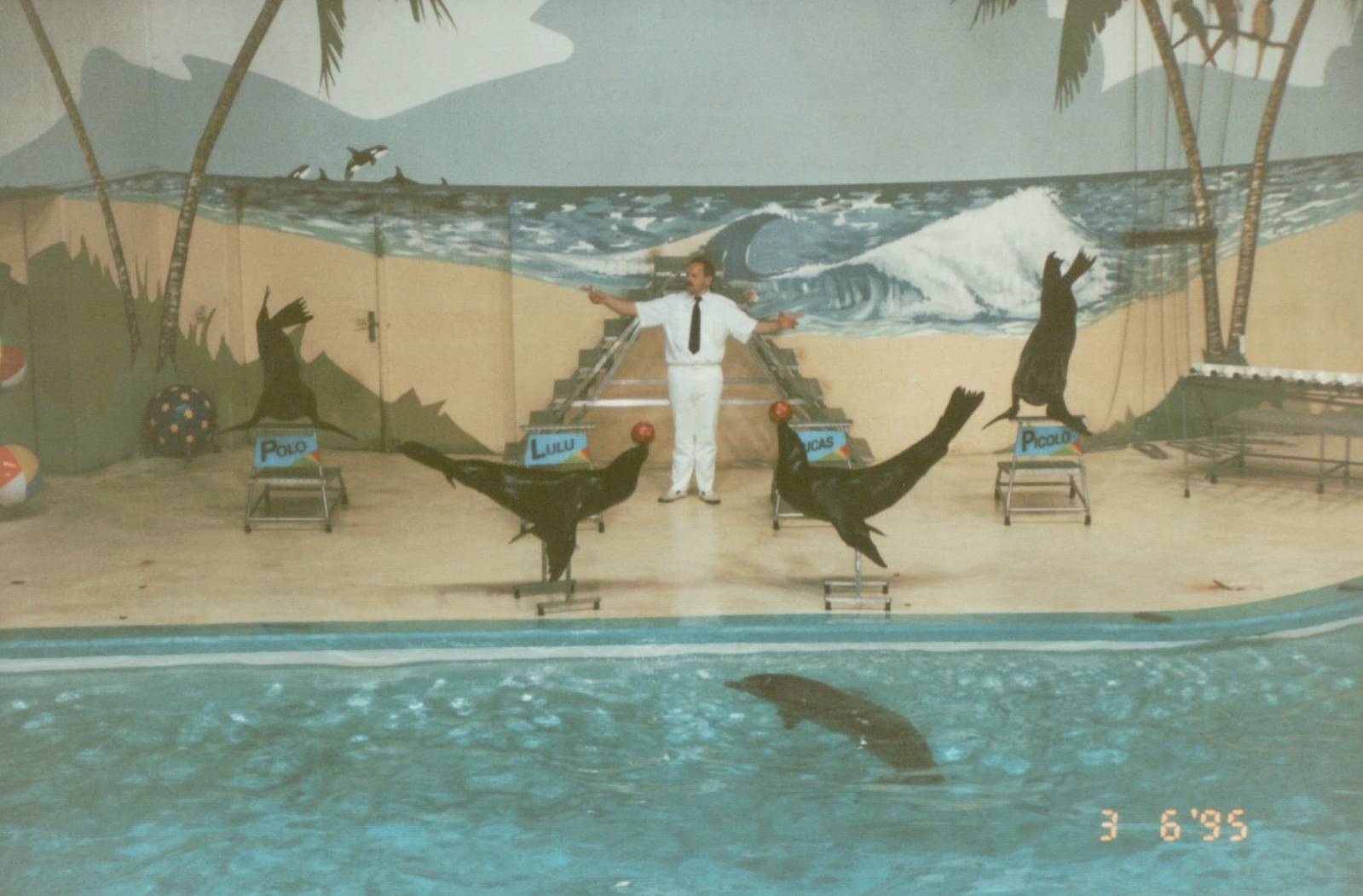 Hagenbeck 1995 - Dolphin and Sea Lion Show