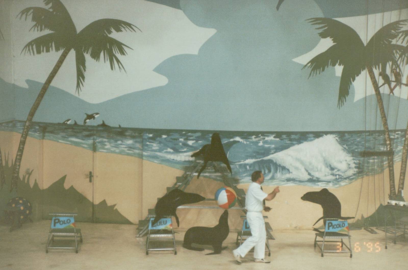 Hagenbeck 1995 - Dolphin and Sea Lion Show