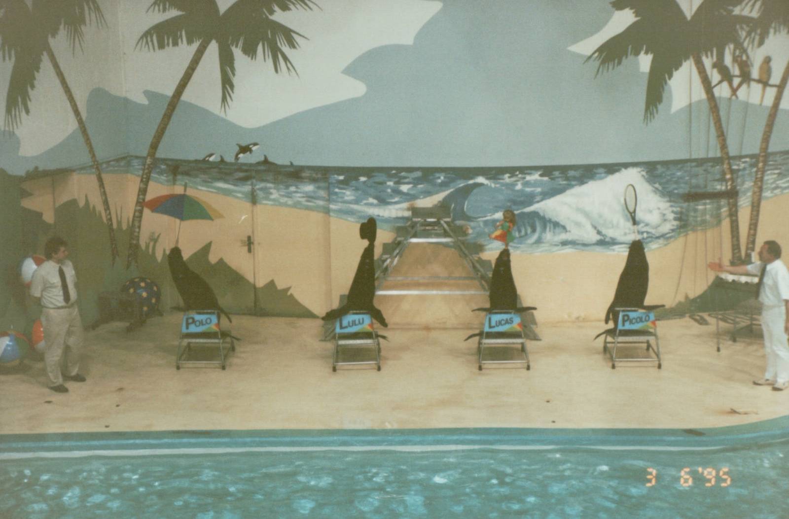 Hagenbeck 1995 - Dolphin and Sea Lion Show