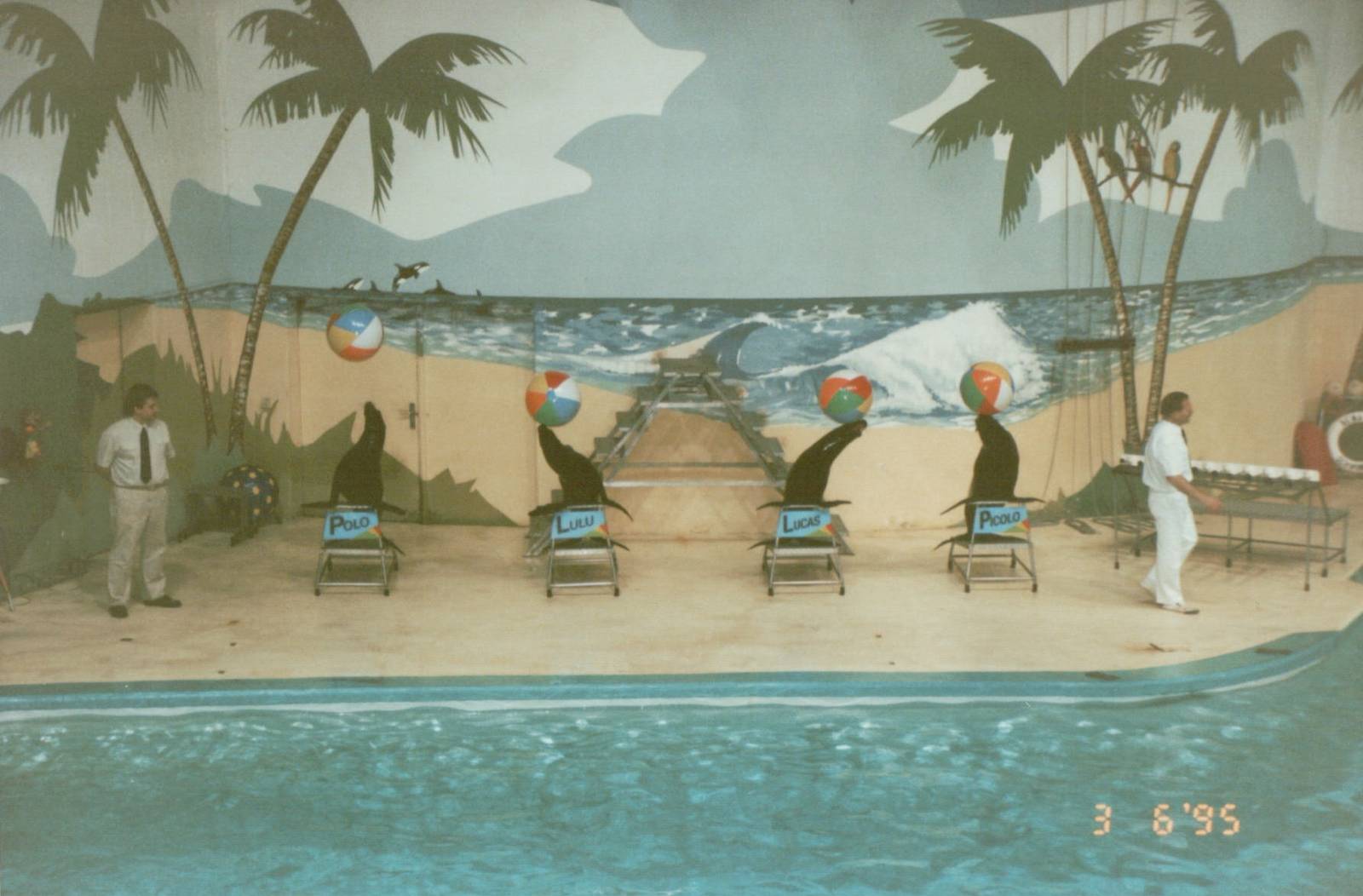 Hagenbeck 1995 - Dolphin and Sea Lion Show