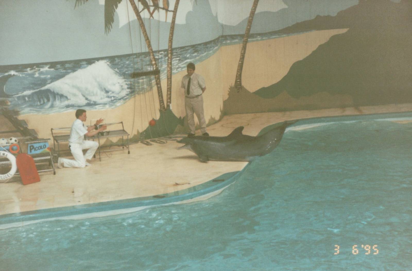 Hagenbeck 1995 - Dolphin and Sea Lion Show