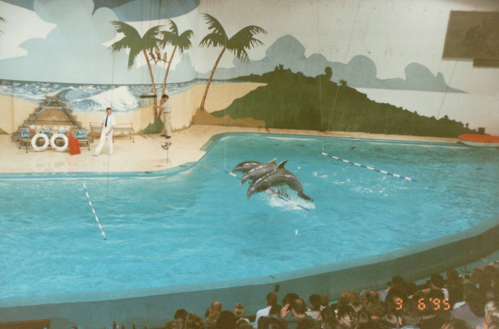 Hagenbeck 1995 - Dolphin and Sea Lion Show