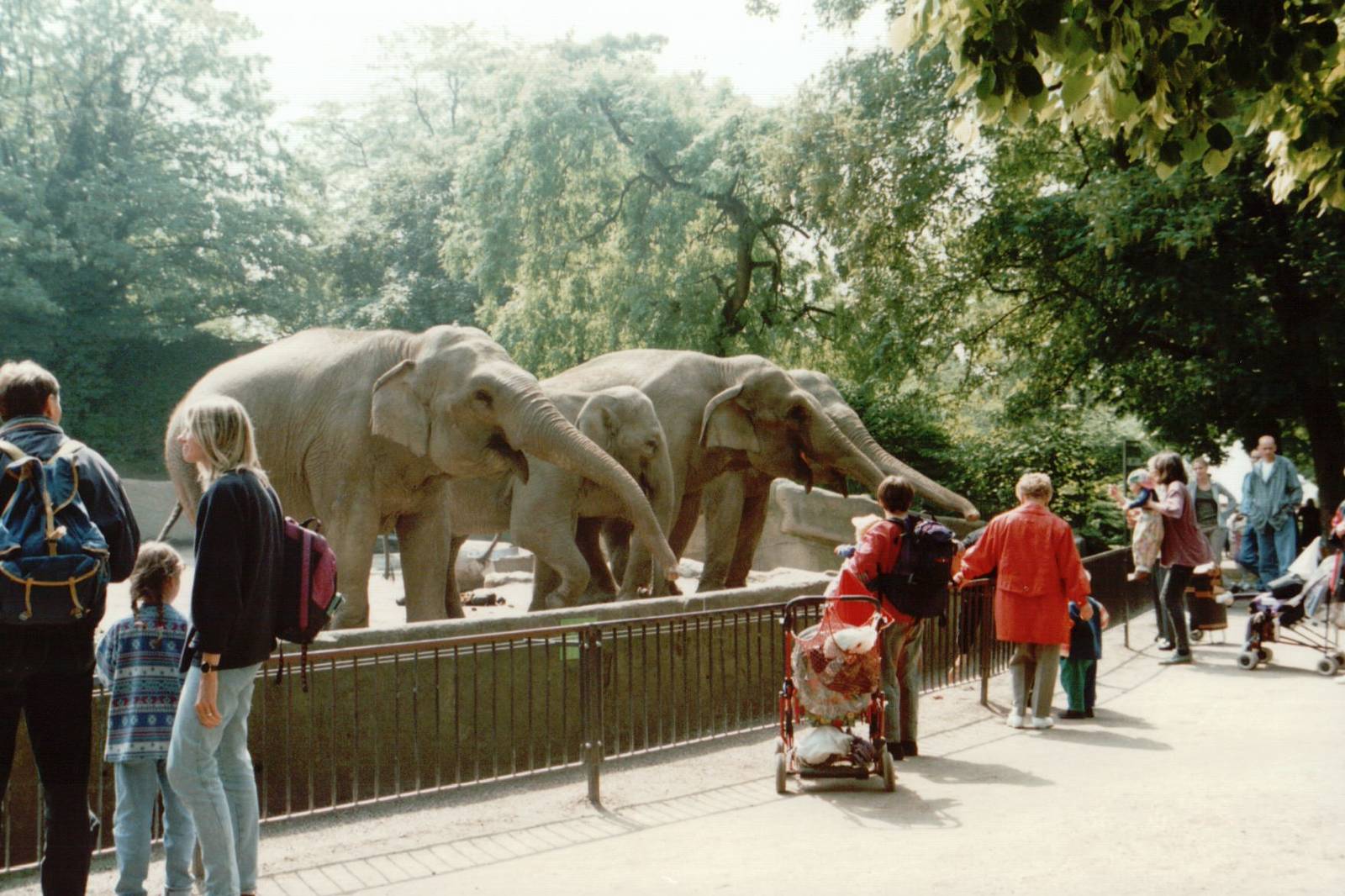 Hagenbeck 1995 - Front of the famous Asiatic Elephant exhibit