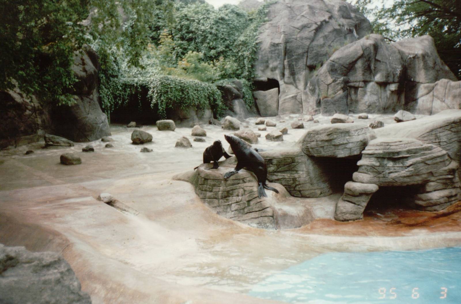 Hagenbeck 1995 - Mixed Pinniped exhibit in the old Eismeer Panorama