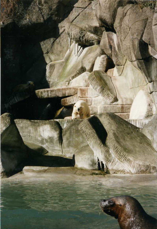 Hagenbeck 1997 - Eismeer