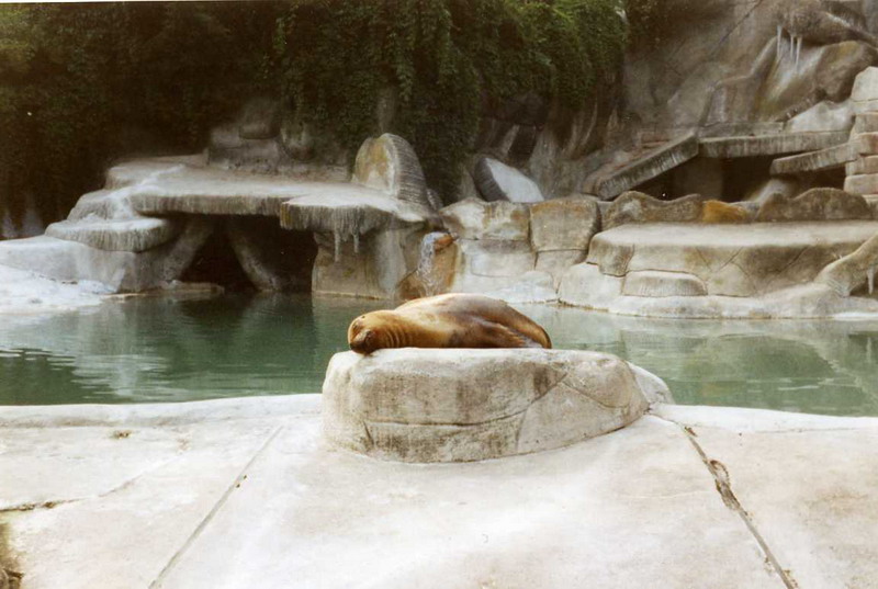 Hagenbeck 1997 - Eismeer