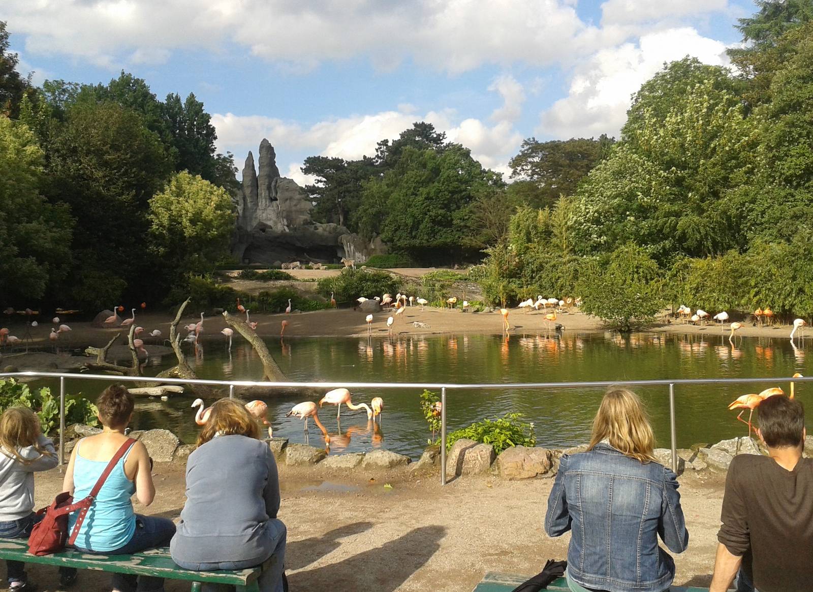 Hagenbeck panorama