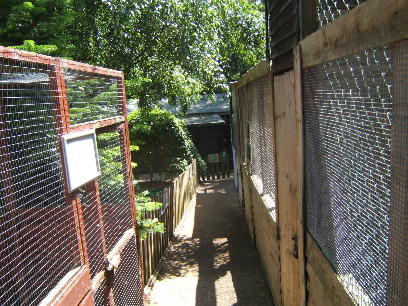 Hagley Falconry Centre