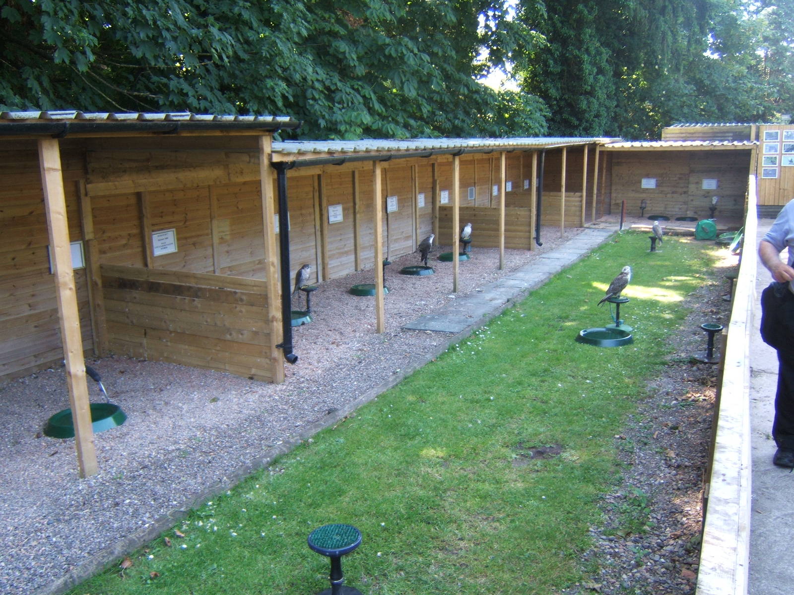Hagley Falconry Centre