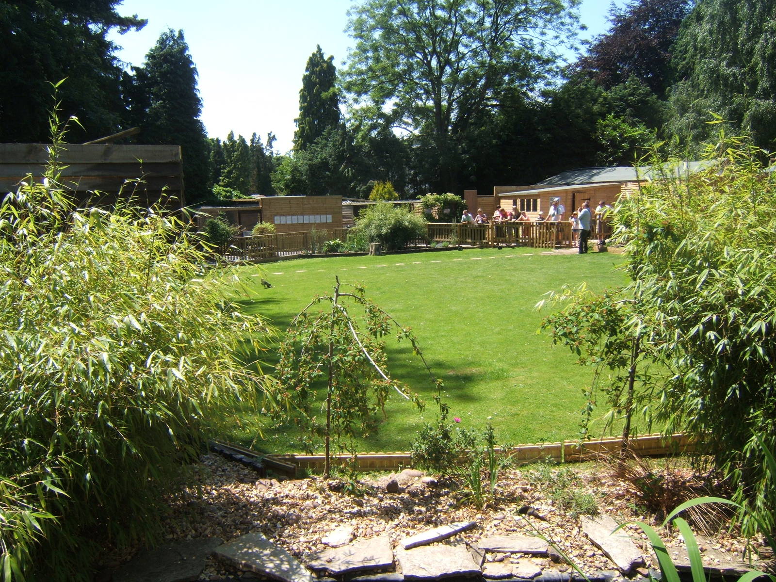 Hagley Falconry Centre