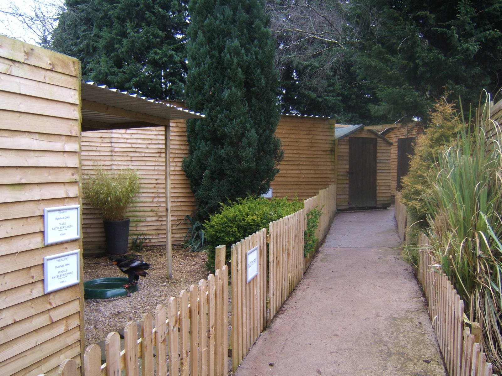 Hagley Falconry Centre