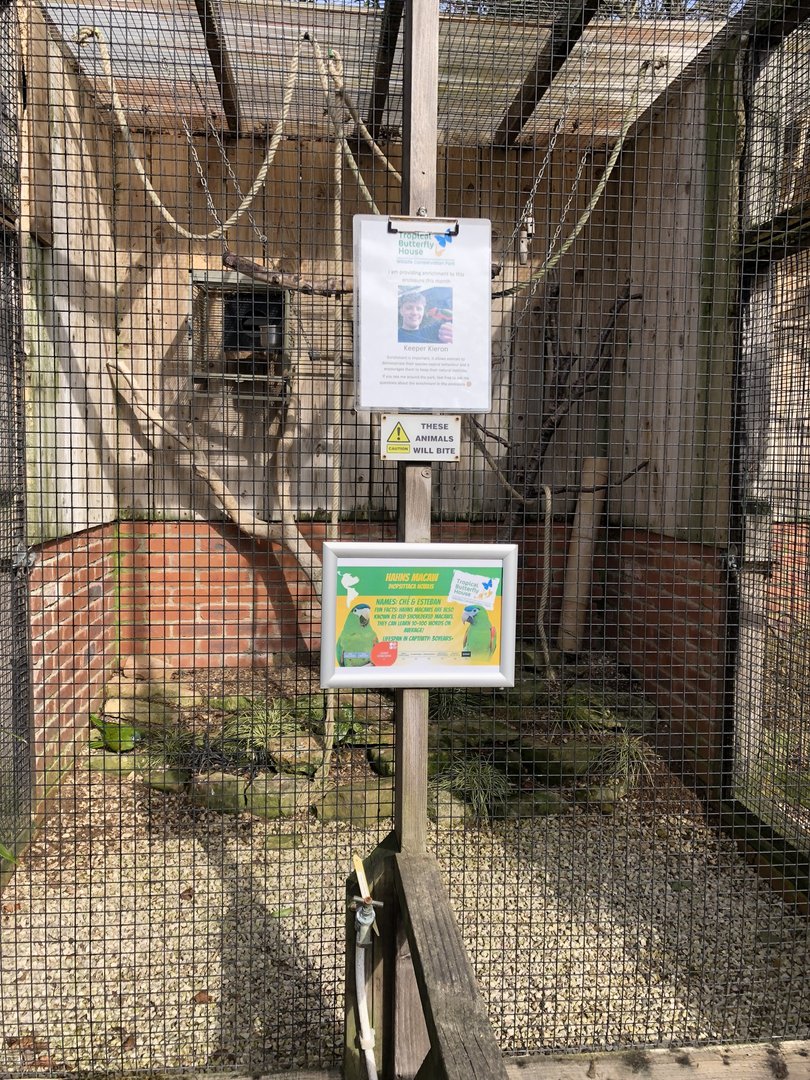 Hahn's Macaw Aviary at Tropical Butterfly House (March 2023)