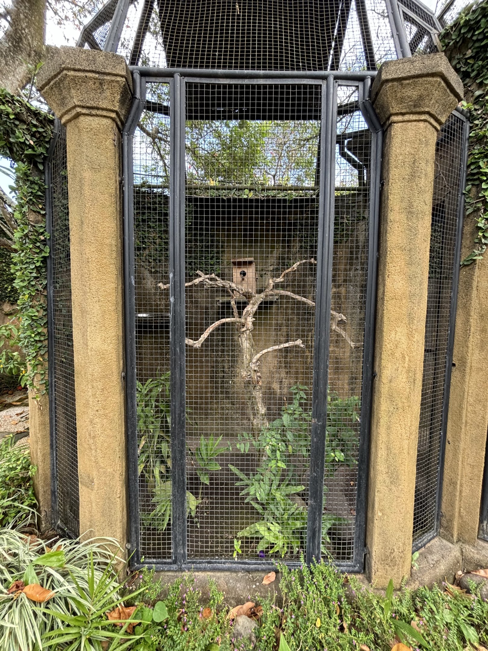 Hahn’s Macaw Aviary