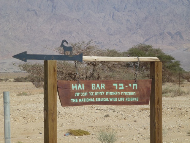 Hai Bar Yotveta Sign 23.4.13