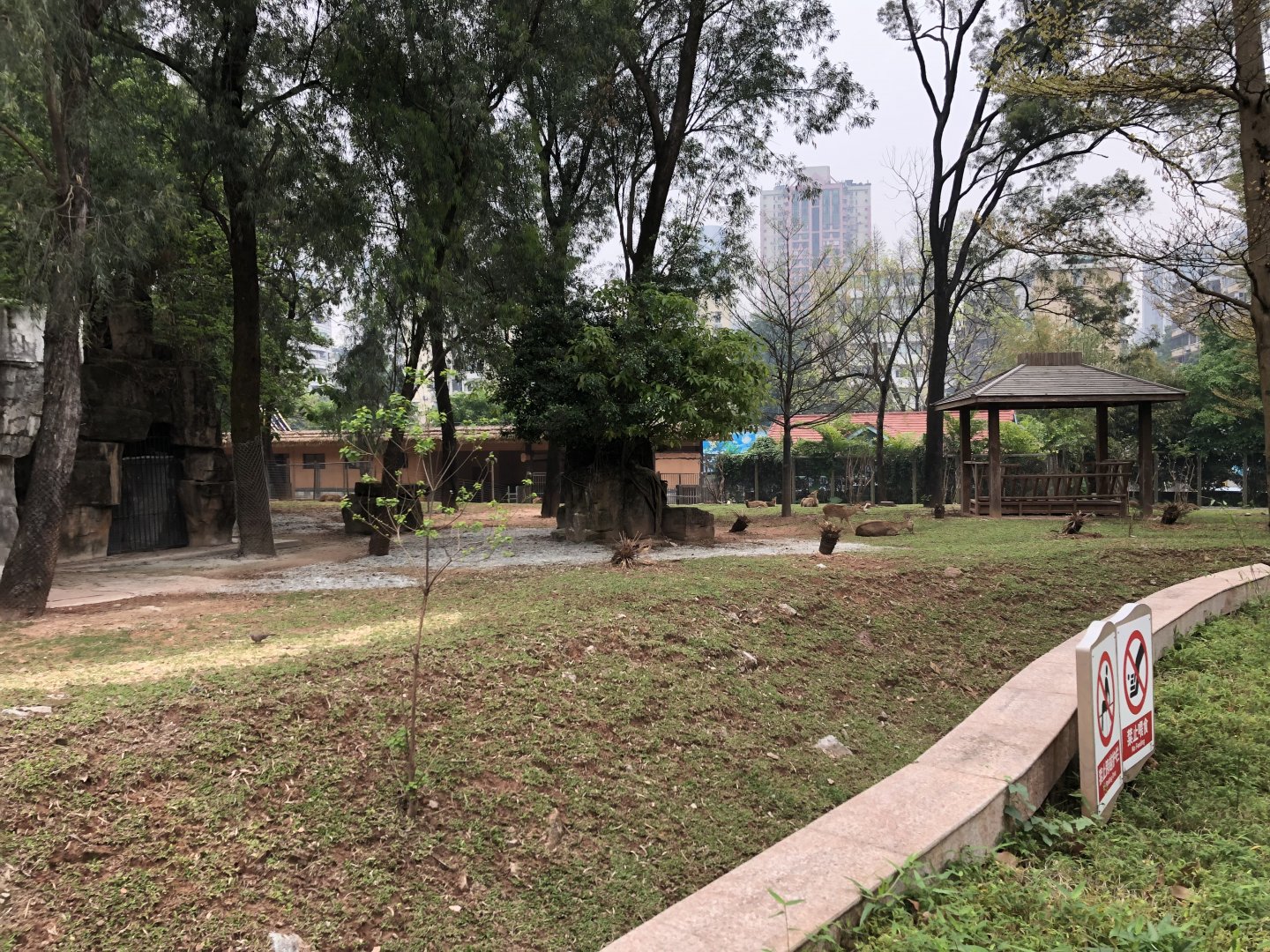 Hainan Eld’s Deer Exhibit