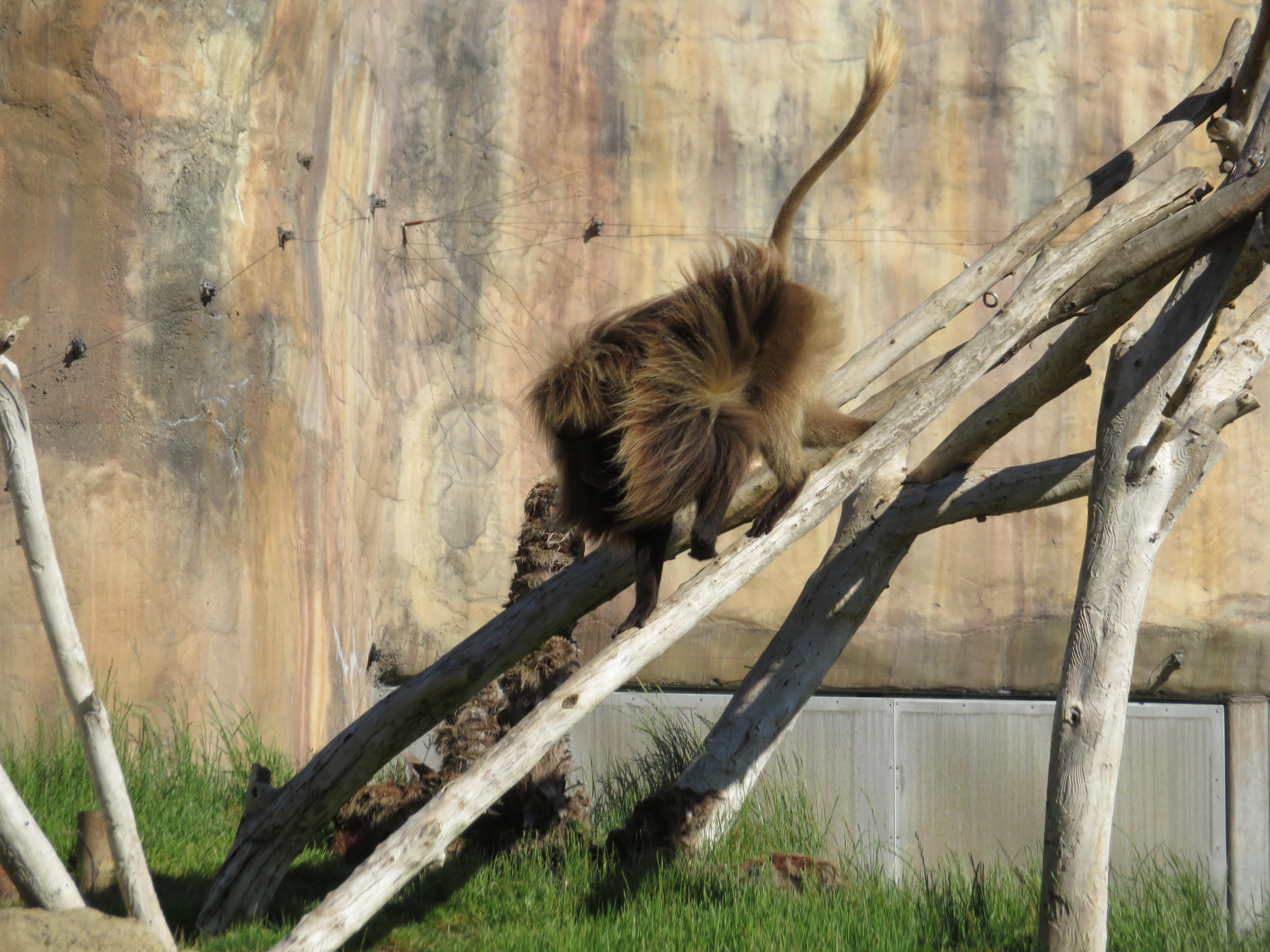 Hair Blowin' in the Breeze