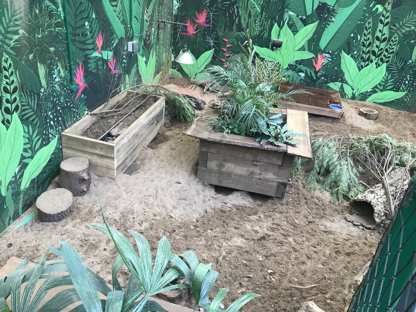 Hairy armadillo enclosure