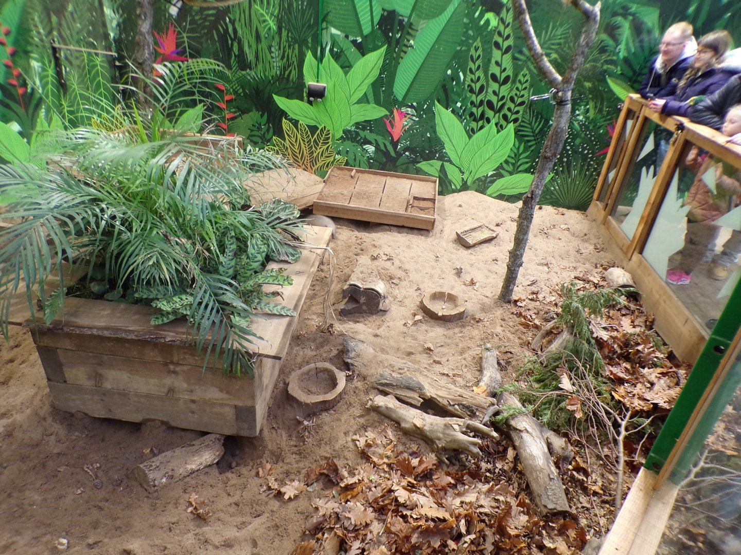 Hairy armadillo enclosure