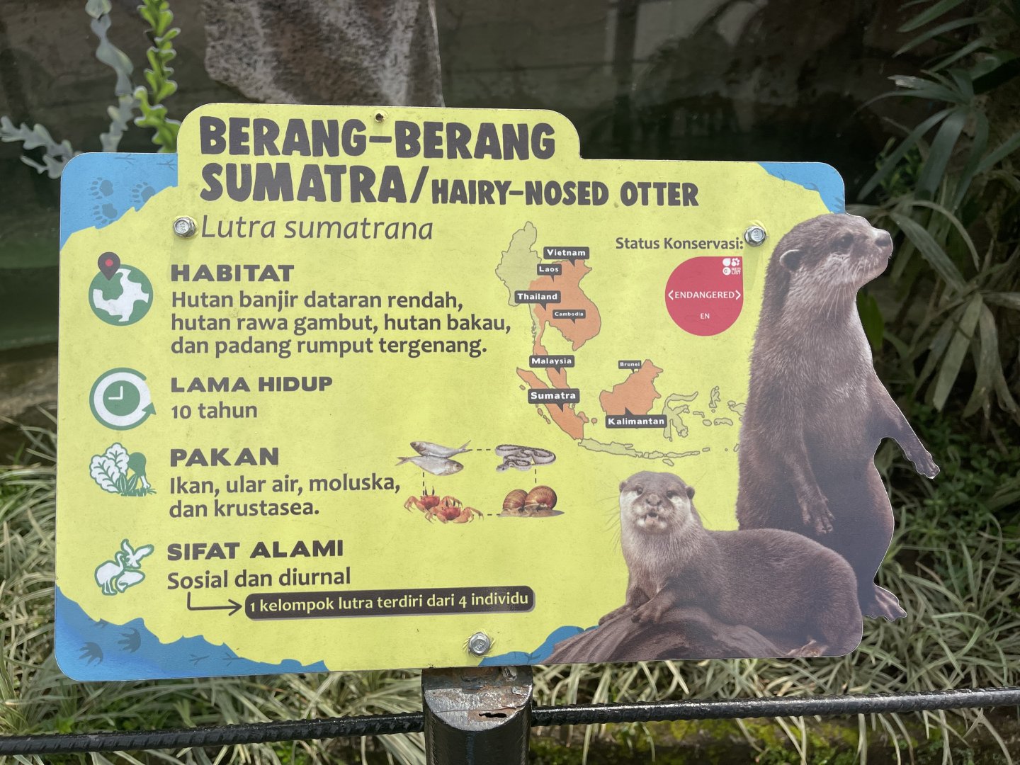 hairy-nosed otter signage (mislabeled/inaccurate)