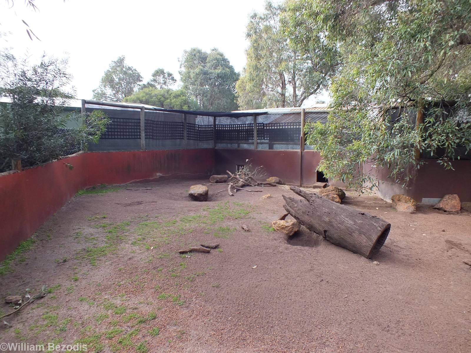 Hairy-nosed Wombat Enclosure - Caversham Wildlife Park