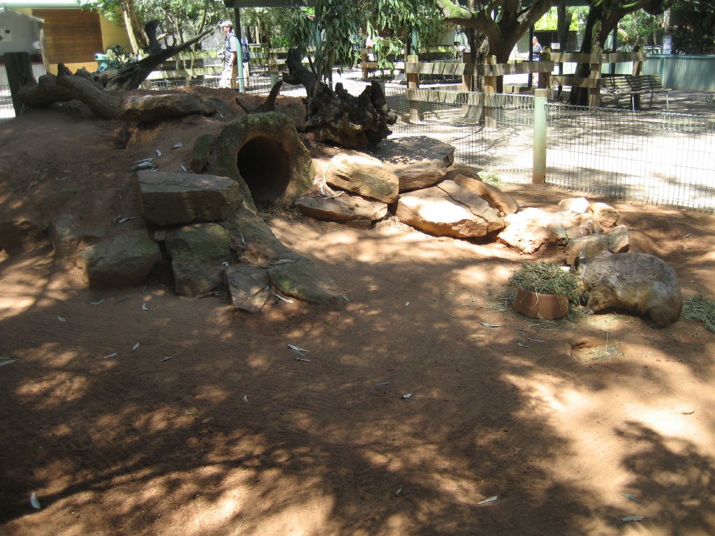 Hairy-nosed Wombat enclosure