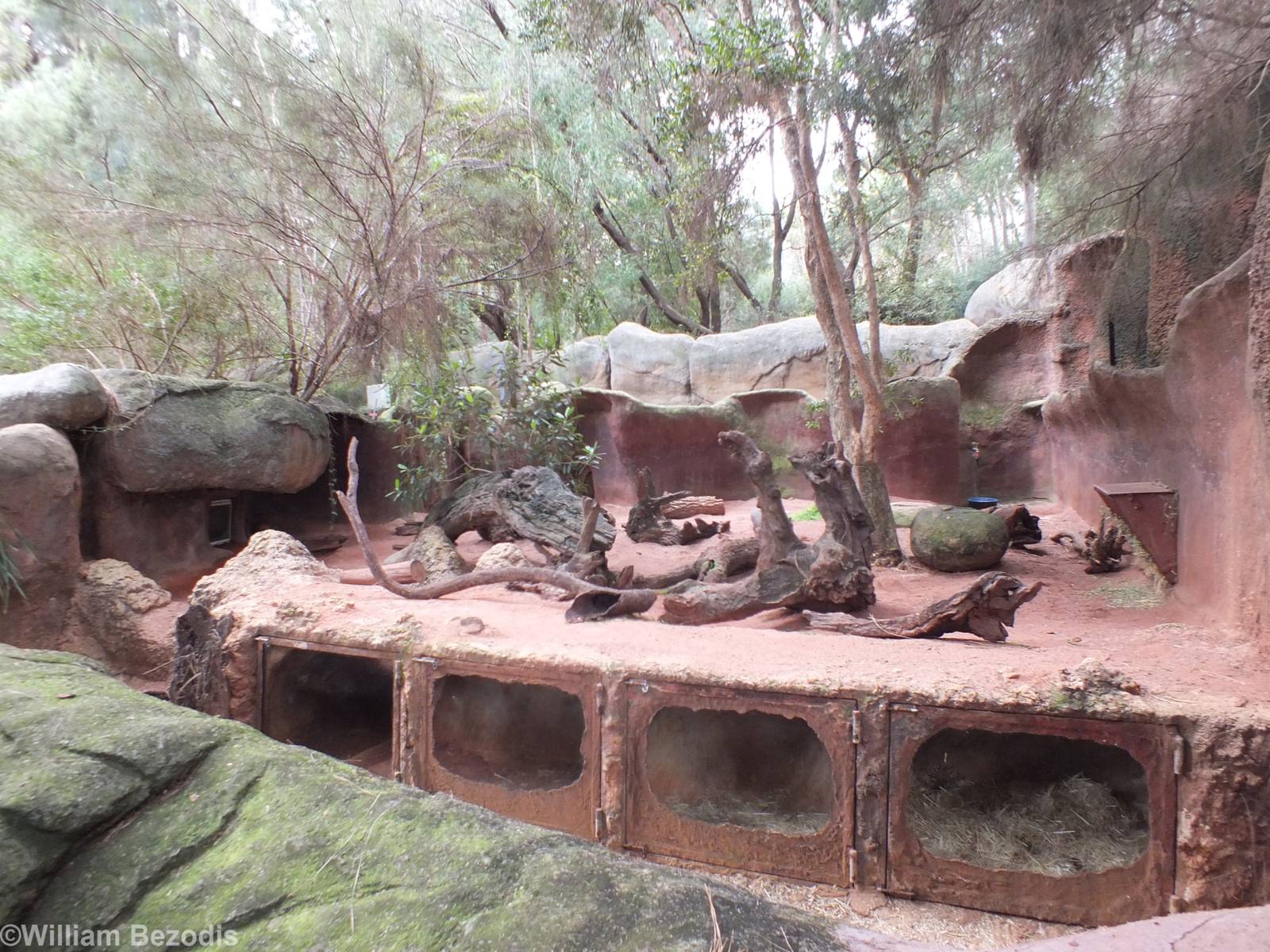 Hairy-nosed Wombat Enclosure