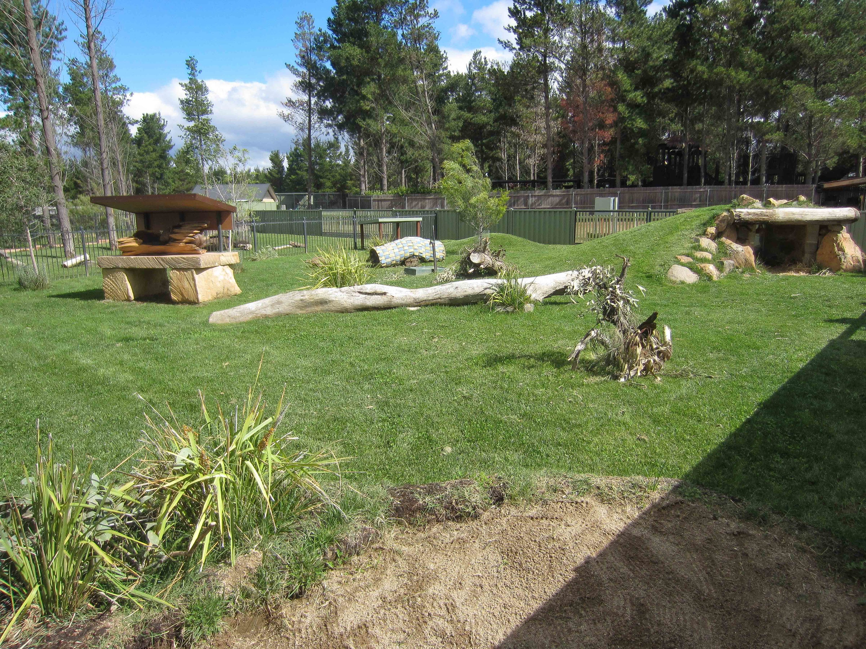 Hairy-nosed Wombat enclosure