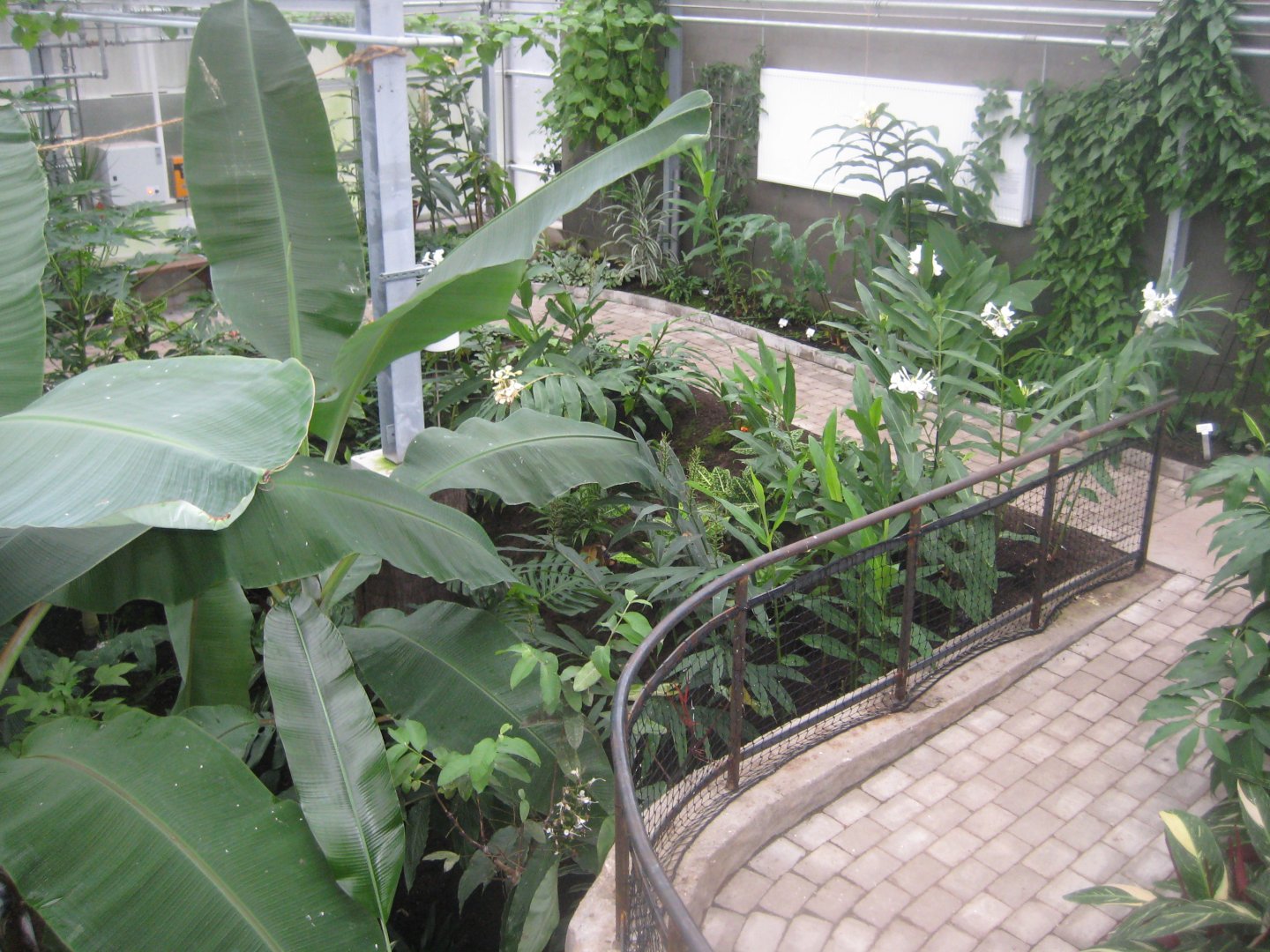 Hald Ege Miniregnskov - Den Nye Regnskov