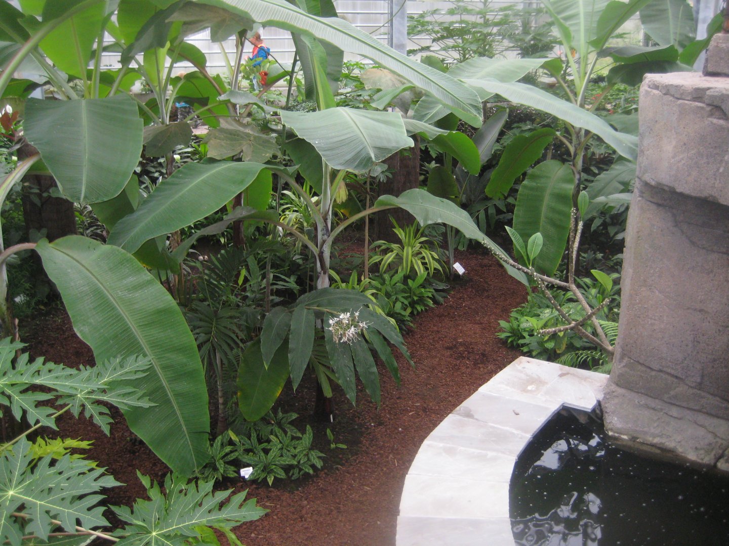 Hald Ege Miniregnskov - Den Nye Regnskov