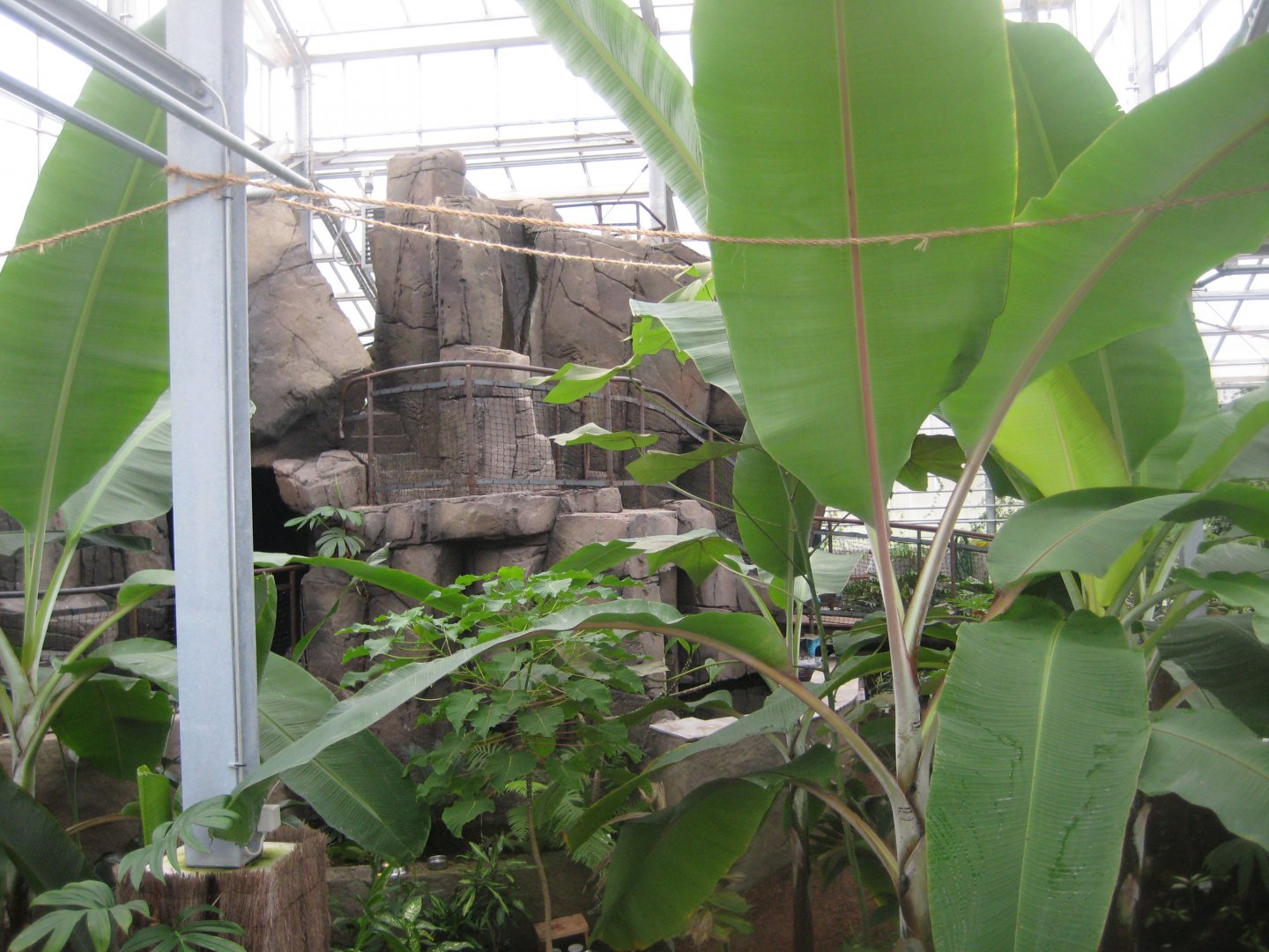 Hald Ege Miniregnskov - Den Nye Regnskov