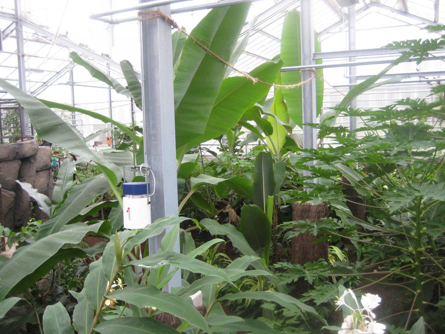 Hald Ege Miniregnskov - Den Nye Regnskov