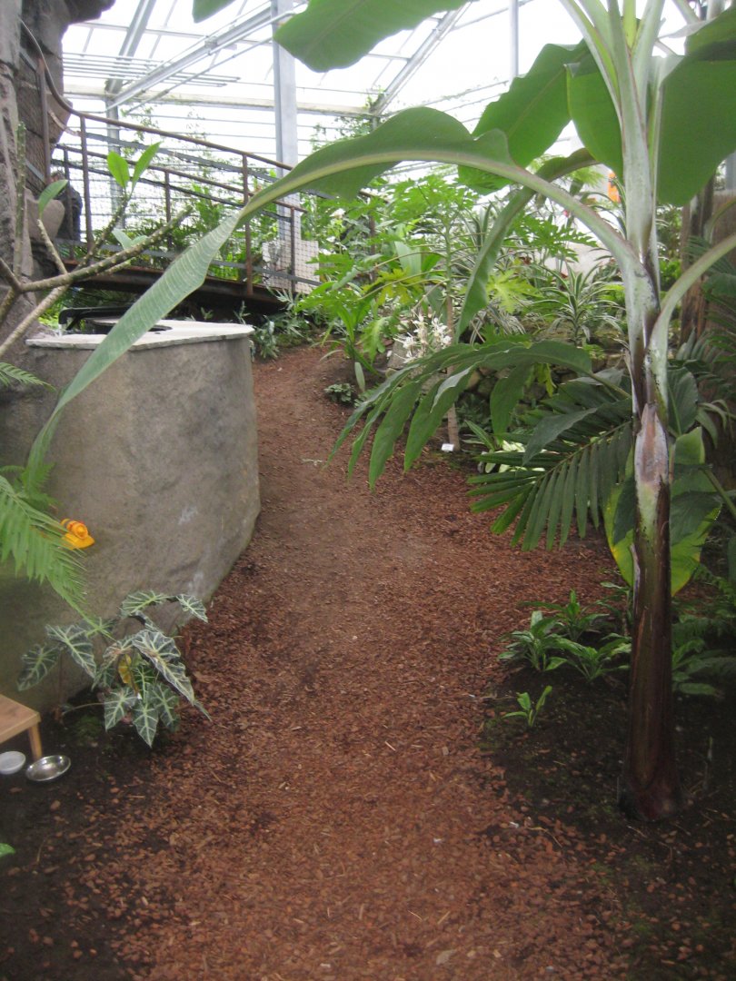 Hald Ege Miniregnskov - Den Nye Regnskov