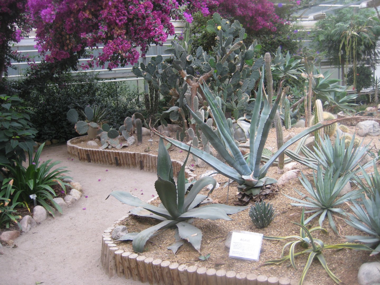 Hald Ege Miniregnskov - Desert area - Cactus garden