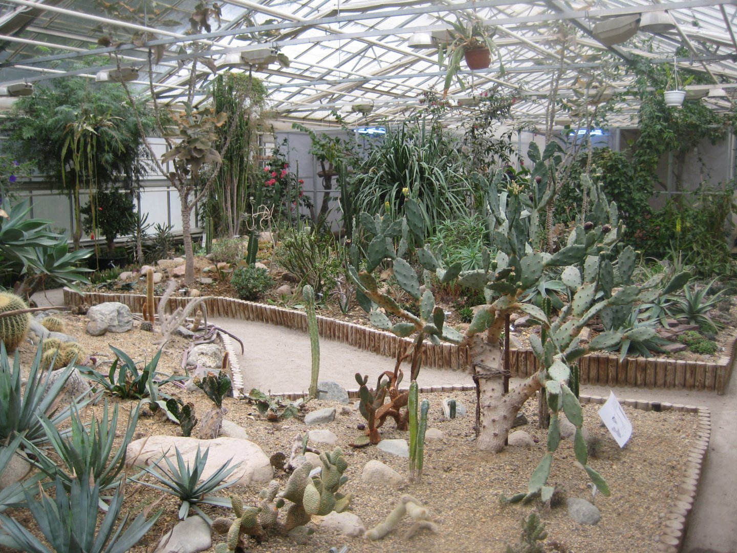 Hald Ege Miniregnskov - Desert area - Cactus garden