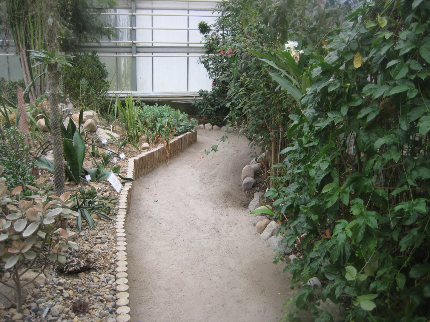 Hald Ege Miniregnskov - Desert area - Cactus garden