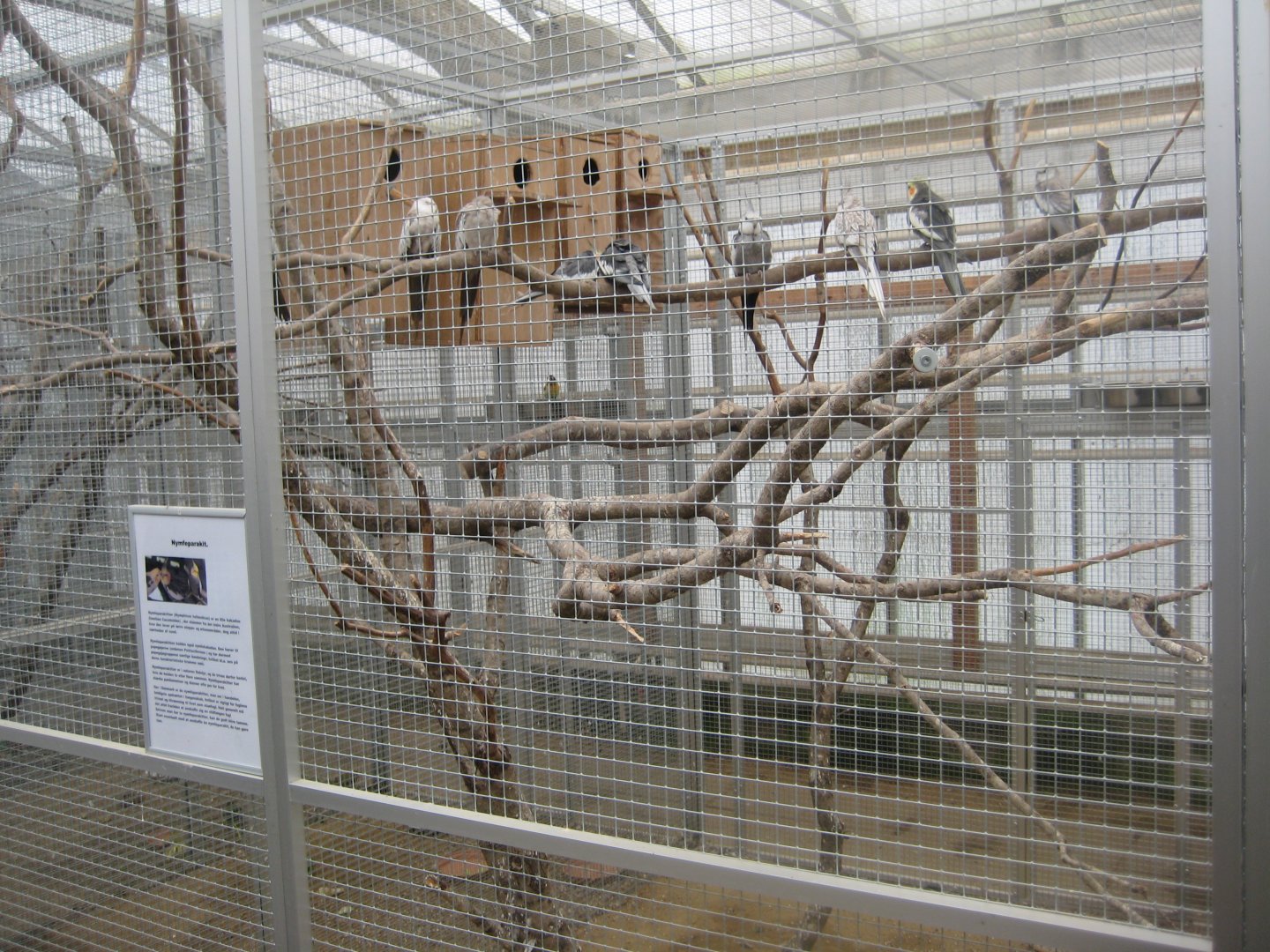 Hald Ege Miniregnskov - Desert area - Cockatiel aviary