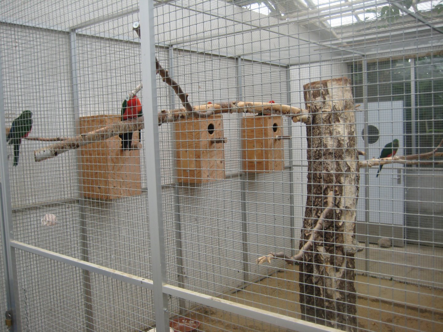 Hald Ege Miniregnskov - Desert area - King parrot aviary