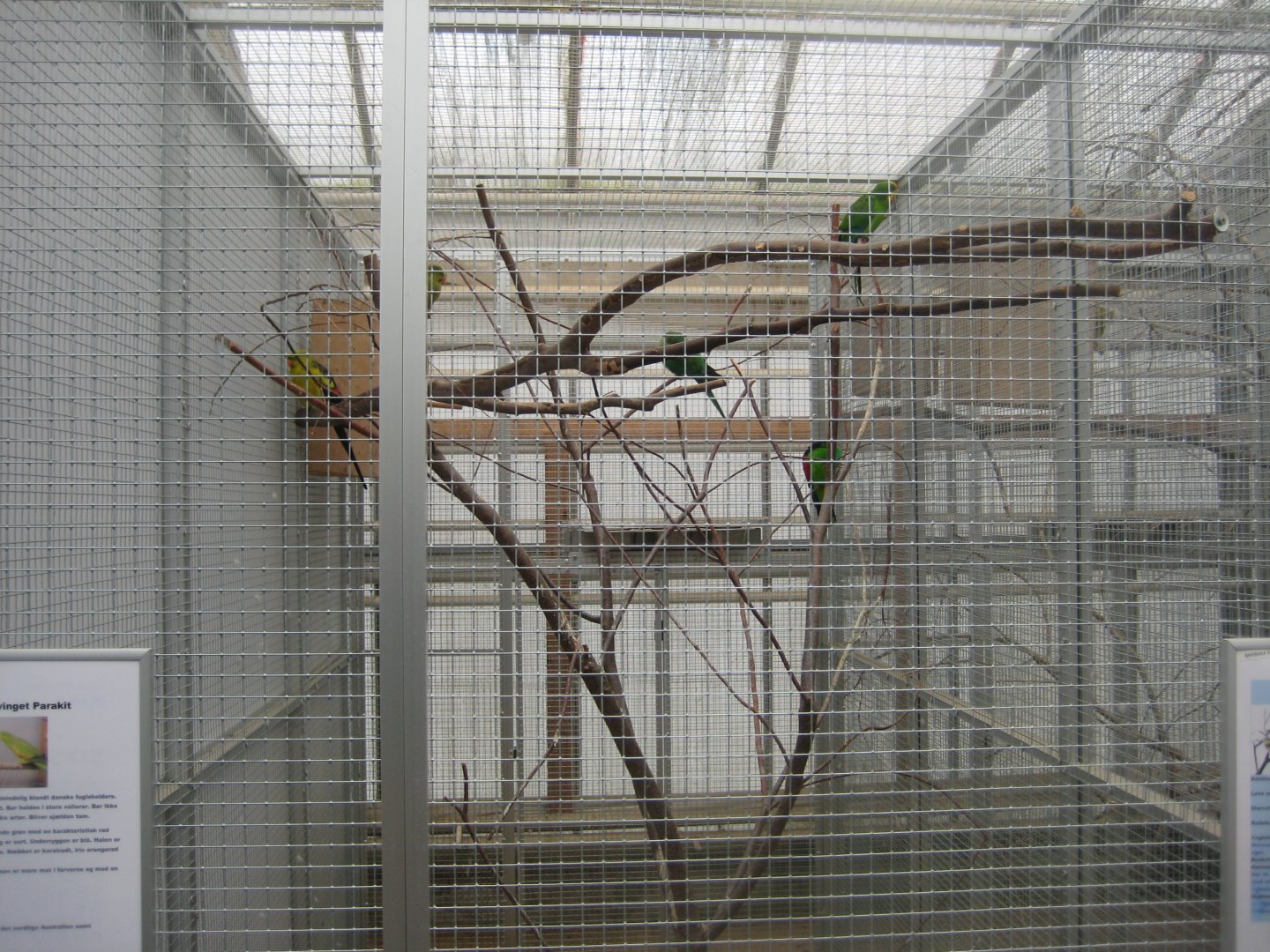 Hald Ege Miniregnskov - Desert area - Mixed parakeet aviary